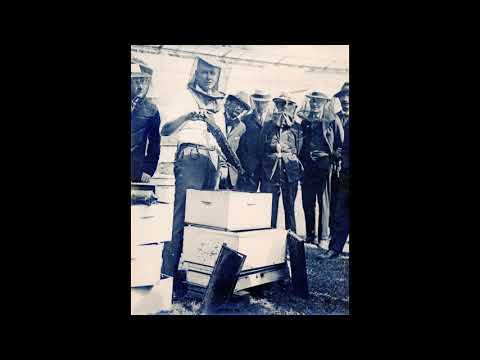 Tampa Red Bumble Bee Blues (1931)