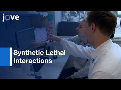 Drug Combinations for Synthetic Lethal Interactions | Protocol Preview