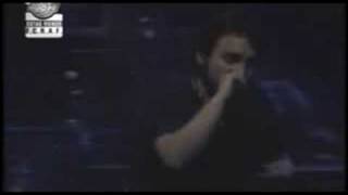 CARNAVAL TODA LA VIDA