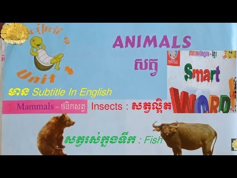 រៀនភាសាអង់គ្លេស, មេរៀនទី១ សត្វ,(ថនិកសត្វ, សត្វល្អិត, សត្វក្នុងទឹក), Study English, Animal(Cow, Cat)