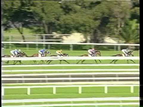 1999 AJC Derby - Sky Heights