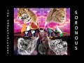 The Underachievers - Sonorous (Official Song)