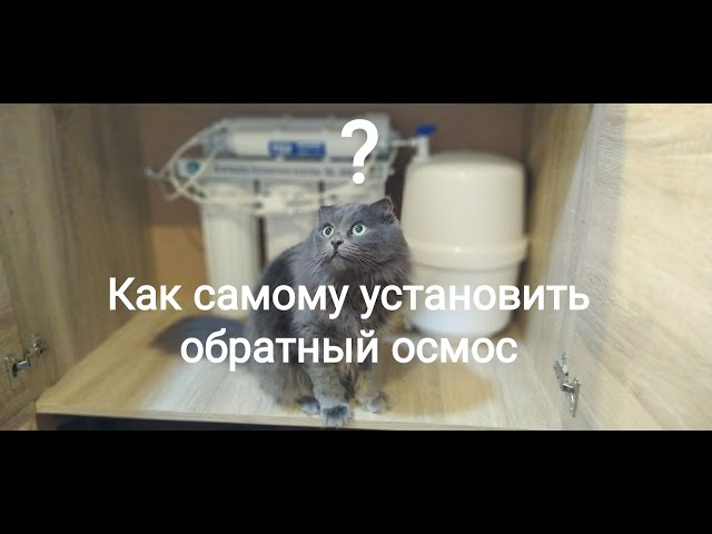 Фото За пол дня
