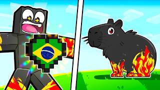 Consegui CORAÇÕES do BRASIL no Minecraft