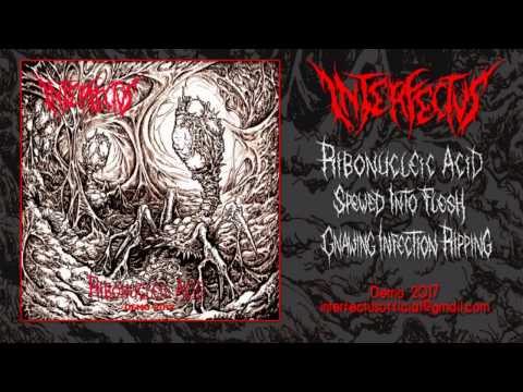Interfectus - Gnawing Infection Ripping