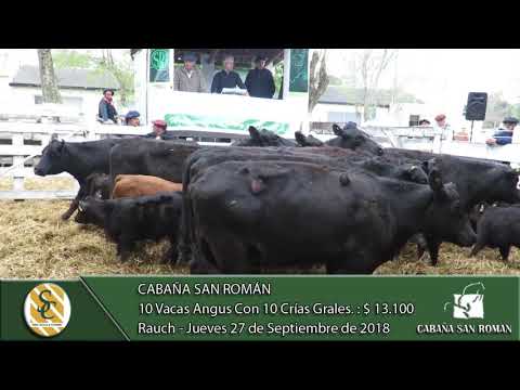 27-09-18 Venta de Vientres Angus Generales - Cabaña San Román - Rauch