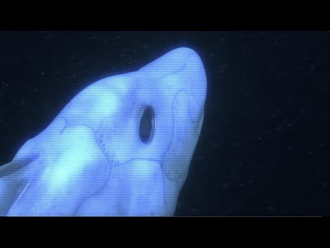 yung biocide - thought about living