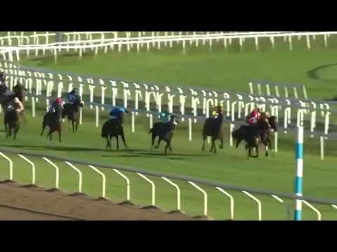 2014.06.10 Jockeyklubbens 2000 Guineas 2014 (Swedish 2000) - Ascot Hill