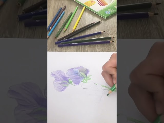 Vídeo relacionado con Carioca Lápices 3 en 1 con Sacapuntas Baby, 10 lápices, Multicolor