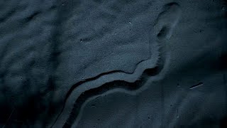 The Blind Assassin of the Desert | Planet Earth II | BBC Earth