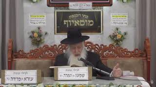הרב בן ציון מוצפי  •  מוסאיוף שידור חי