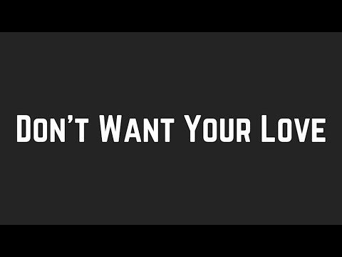 Shawn Mendes - Don't Want Your Love (Lyrics)