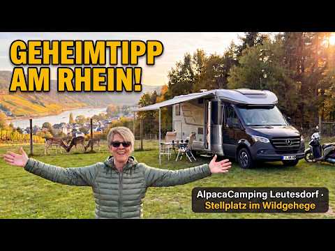 Geheimtipp am Rhein – Stellplatz am Wildgehege