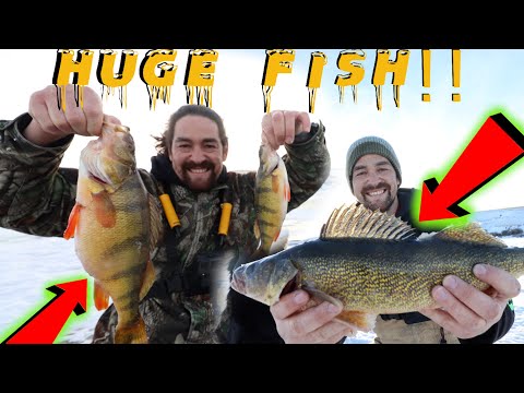 Best Ice Fishing Moments / Insane HUGE Fish! / JUMBO Perch!! / Saskatchewan Fishing / Top 10