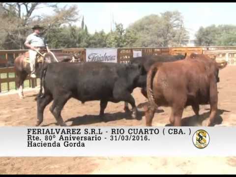 31-03-16 Venta de Gordo - Ferialvarez S.R.L. - Rio Cuarto