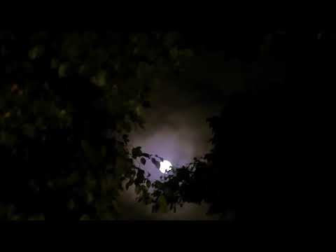 Bulin 47 ft jc la nevula (te necesito)