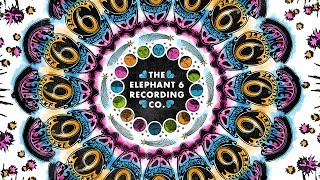 The Elephant 6 Recording Co. (2023) Video