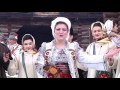 Diana Sarbu - Bate toba mai Vasile 