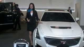 ハニカム女性　高級車