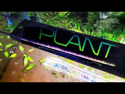 Ultimate Guide to the Fluval Plant 3.0 LED Aquarium Light - Part 1