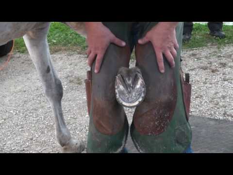 Slide 8 - Save Edge Original Rasp 14"  (video)