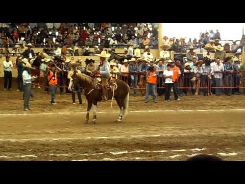 Lorenzo Ríos Campeón del 3er Caladero Futurity THV