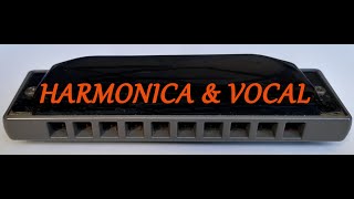 Chicken shack. In tribute to Bluesmaster Pinetop Perkins. Great Bluesman , piano player and singer