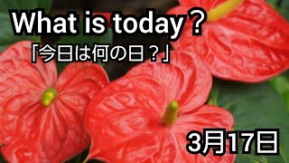 【What is today?】今日は何の日?(0317)|YouTube掲示板《ヒントストック》