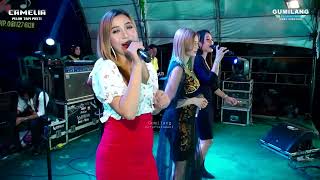 Download lagu FULL ALBUM - CAMELIA - WEDDING ABDI & NAFISAH MLATIHARJO GAJAH DEMAK mp3