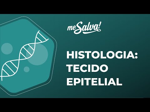 Histology – Epithelial Tissue - Basic Biology - Me Salva! Health