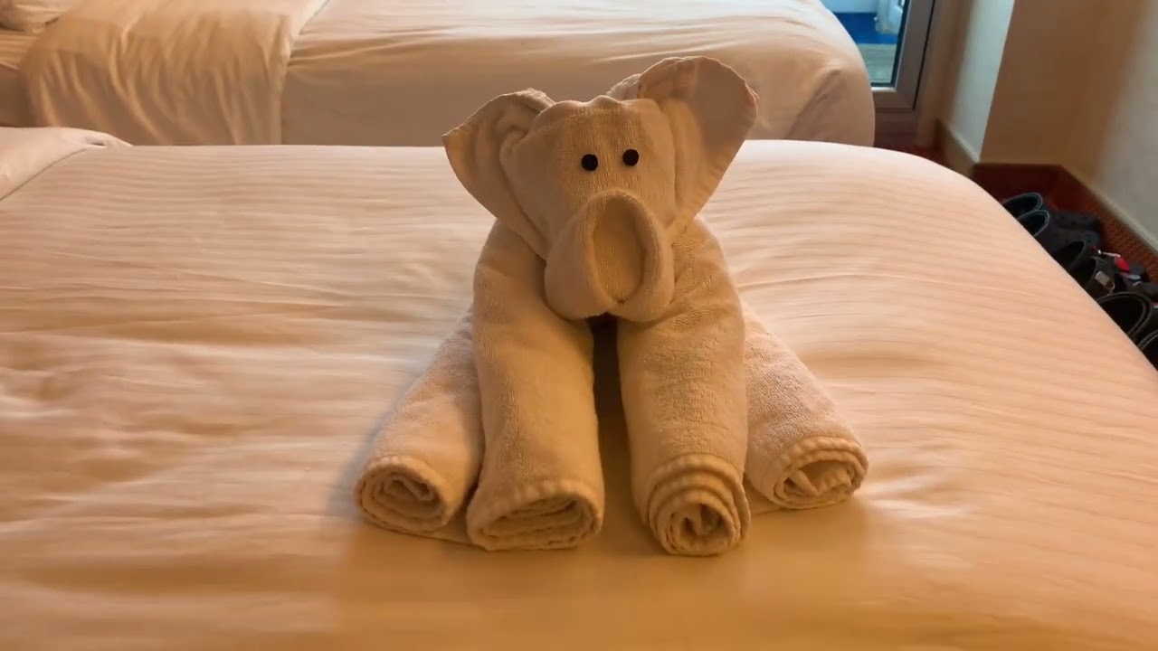 Carnival Valor - Cabin 7400 - Video 1