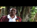 Smart Farm Kola Nut Farming