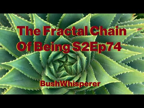 The Fractal Chain Of Being S2Ep74