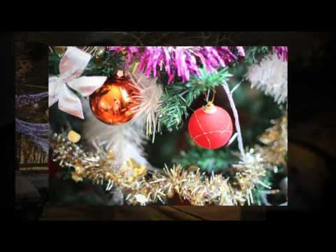 Hunedoara & Clopotiva, 2014 2015