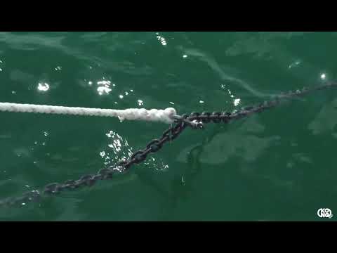 Kong chain gripper - FAST ATTACHMENT FOR BOATS CHAINS
