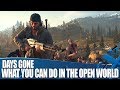 Days Gone - What Will You Be Doing In The Open World?