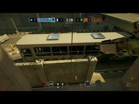 Oryx jumping ot window