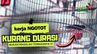 Download lagu MURAI BATU MAIN NGOTOT TAPI BANYAK JEDA ⁉️ mp3 Download lagu MURAI BATU MAIN NGOTOT TAPI BANYAK JEDA ⁉️ mp3