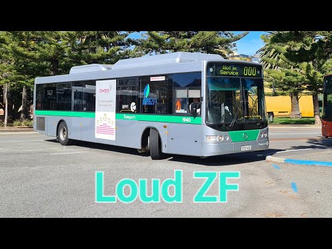TP1940 Transperth Bus Mercedes-Benz Oc500le Cng Loud ZF Sound