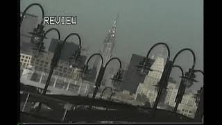 dandelion hands - i like you