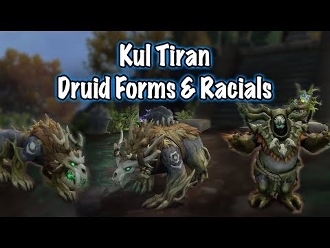 Jessiehealz - Kul Tiran, Druid Forms & Racials