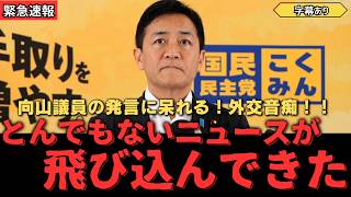 【驚愕】国民民主党議員のバカンス発言に代表謝罪