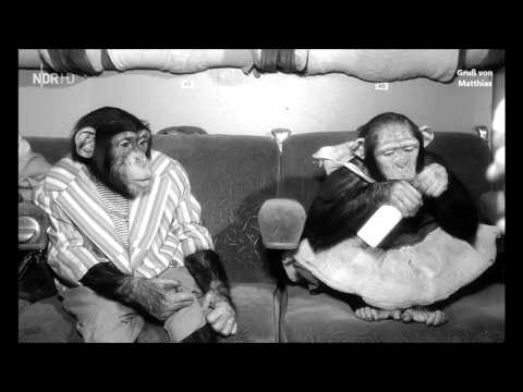 Heinz Erhardt  Sei friedlich und lebe gemütlich  1961 - Gruß von Matthias