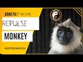 Tai Chi Chuan | Repulse Monkey | Applications | Kung Fu Training