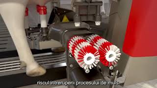 Robot de muls robotizat