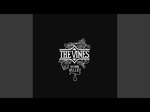 Going Gone - The Vines