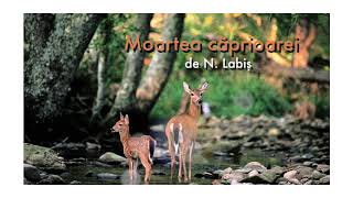  "Nicolae Labiș „Moartea căprioarei”"
