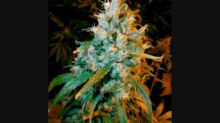 Andre Nickatina - Cherry Banana Pumpkin Pie