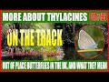 Richard Freeman interview; Thylacines; O-O-P Butterflies in the UK
(OTT#136)