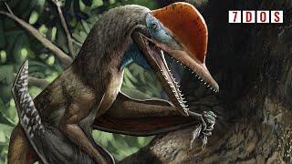 Pterosaur With an Opposable Thumb Discovered | 7 Days of Science